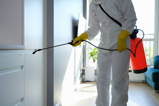 Best Mold Remediation  in Oakland, NE