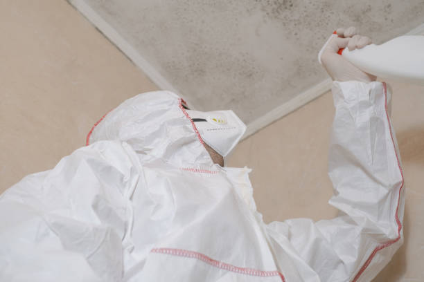 Best Commercial Mold Removal  in Oakland, NE